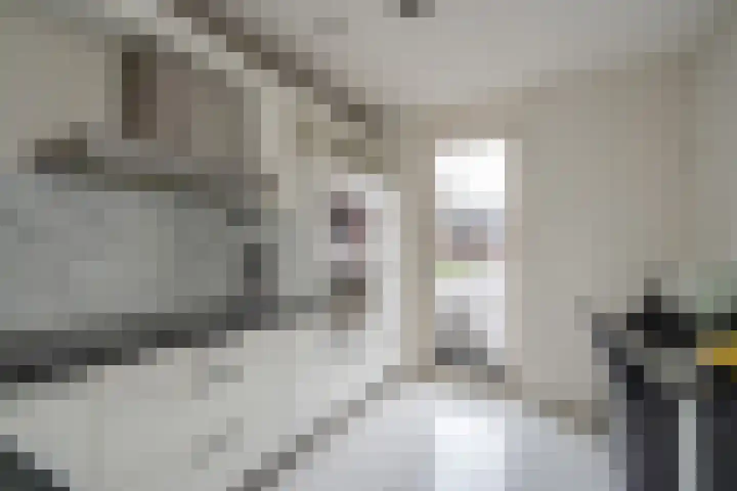 Zonnehof 38 Nootdorp thumbnail 11