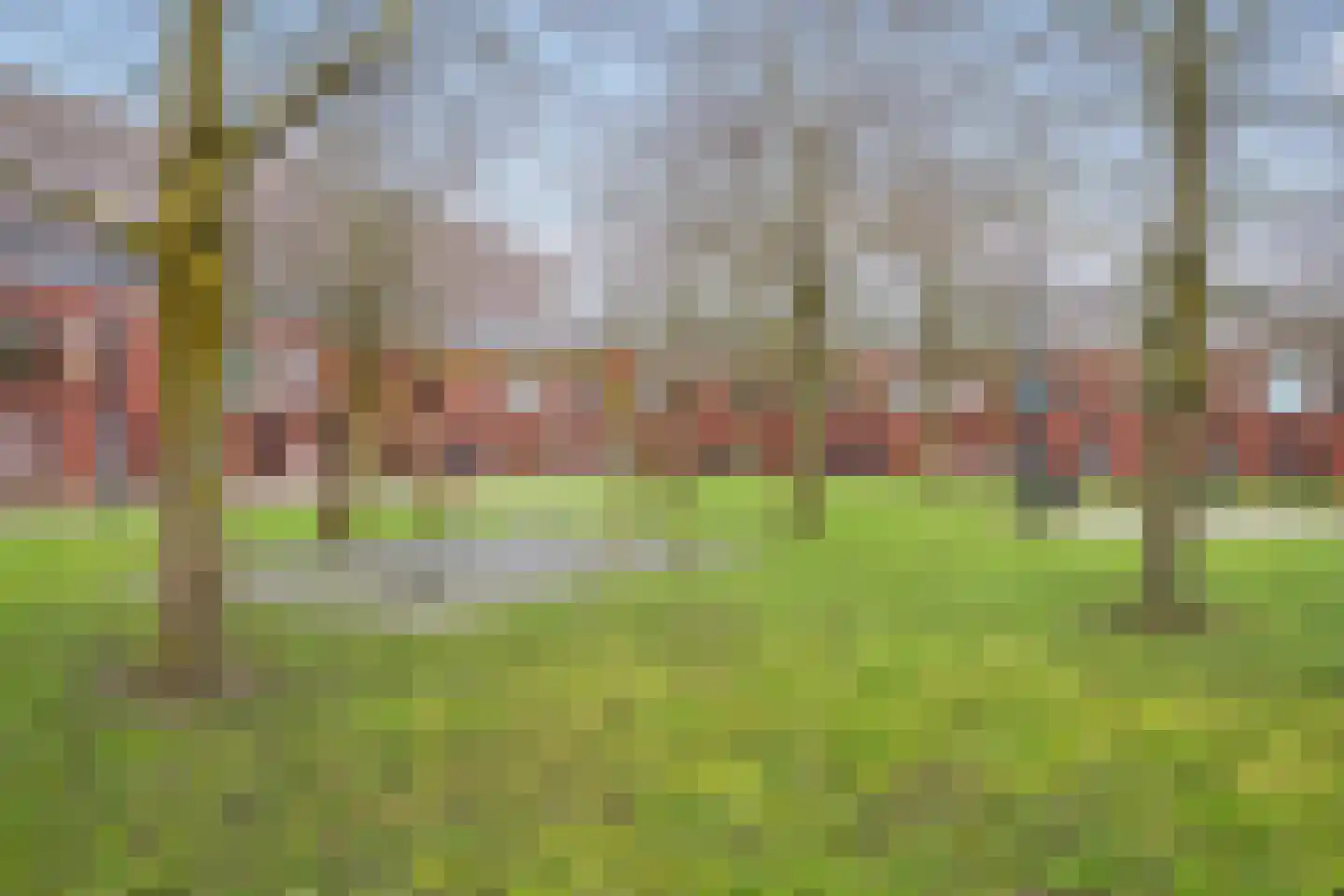Zonnehof 38 Nootdorp thumbnail 28