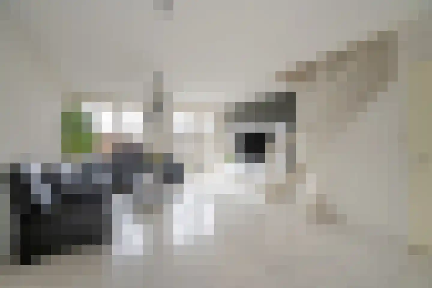 Zonnehof 38 Nootdorp thumbnail 8