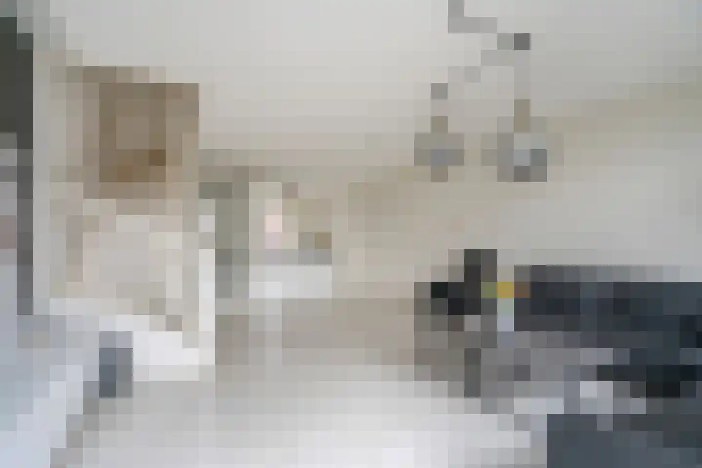 Zonnehof 38 Nootdorp thumbnail 9