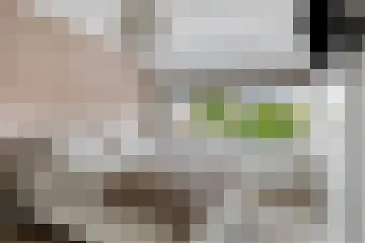 Zonnehof 4 Roden thumbnail 19