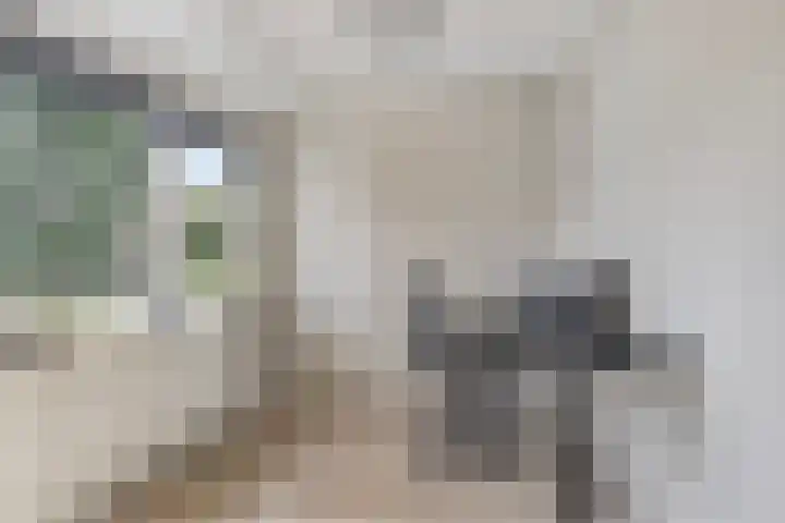 Zonnehof 4 Roden thumbnail 21