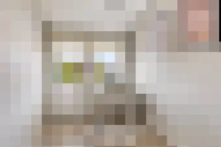 Zonnehof 4 Roden thumbnail 23