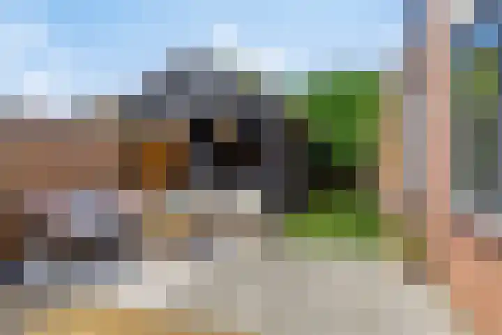 Zonnehof 4 Roden thumbnail 26
