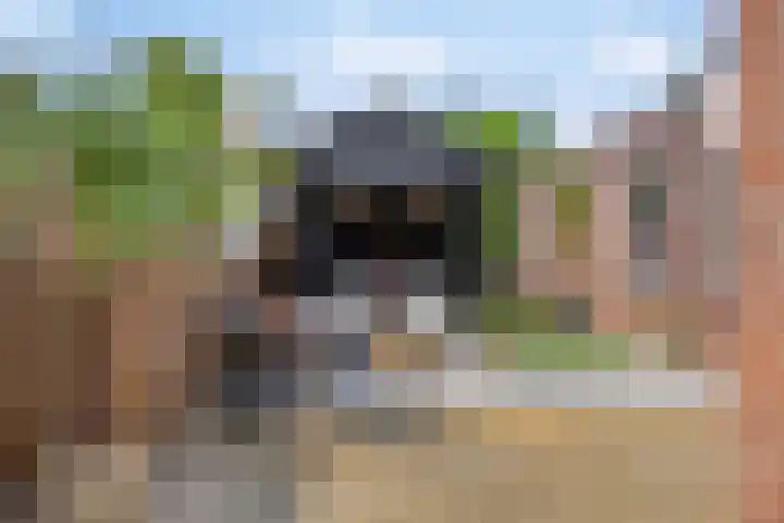 Zonnehof 4 Roden thumbnail 29