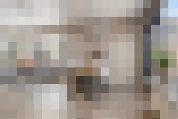 Zonnehof 4 Roden thumbnail 6