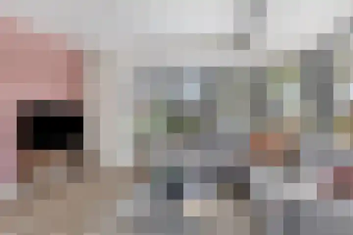 Zonnehof 4 Roden thumbnail 7