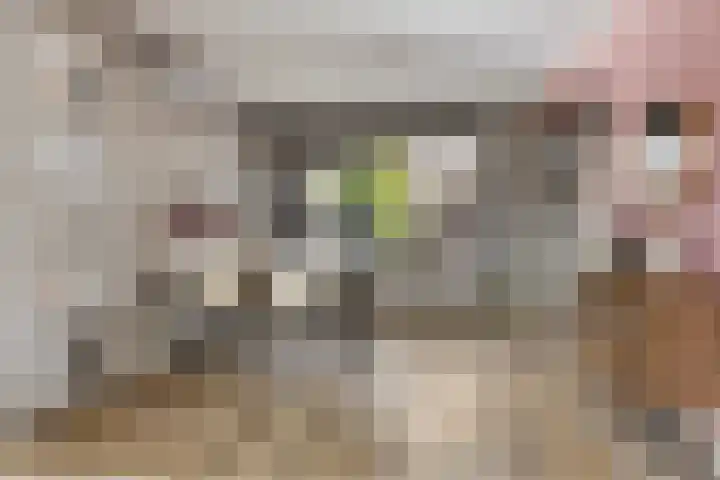 Zonnehof 4 Roden thumbnail 8