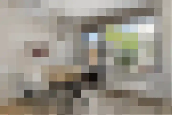 Zonnehof 4 Roden thumbnail 9