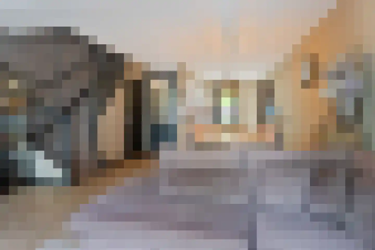 Zonnehof 40 Nootdorp thumbnail 10