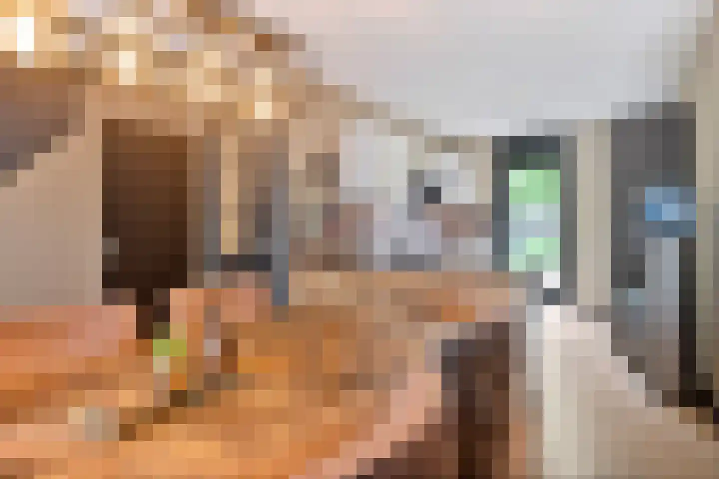 Zonnehof 40 Nootdorp thumbnail 11