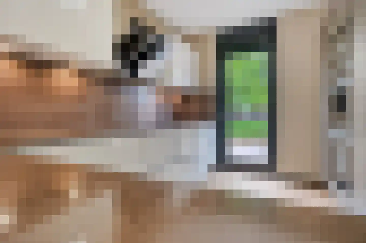 Zonnehof 40 Nootdorp thumbnail 12