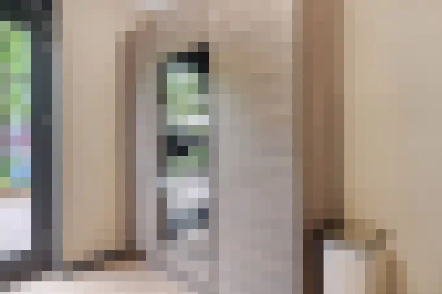 Zonnehof 40 Nootdorp thumbnail 14