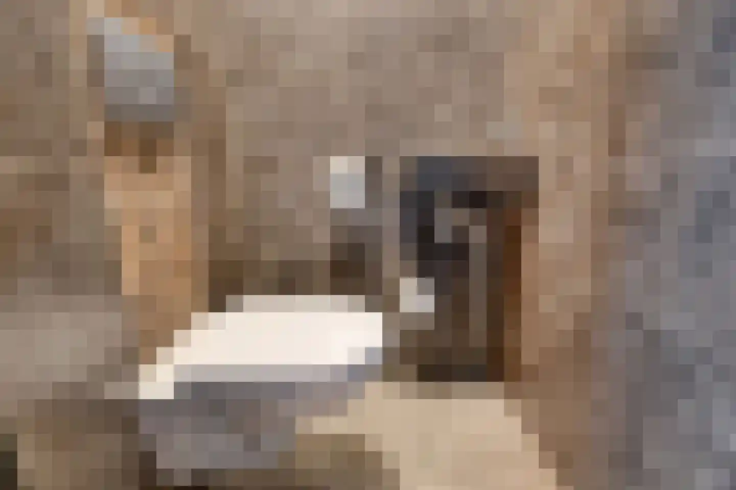 Zonnehof 40 Nootdorp thumbnail 22