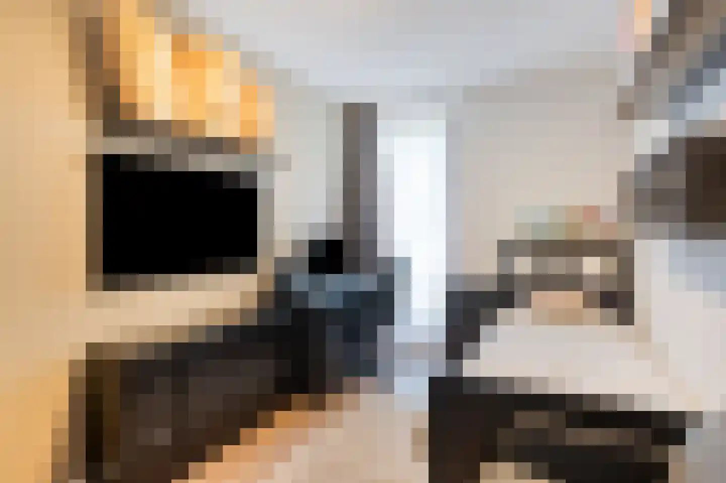 Zonnehof 40 Nootdorp thumbnail 27