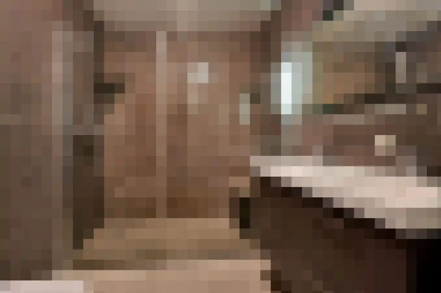 Zonnehof 40 Nootdorp thumbnail 31