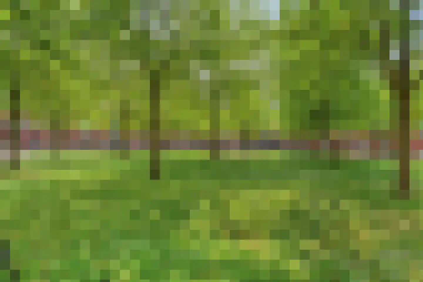 Zonnehof 40 Nootdorp thumbnail 43