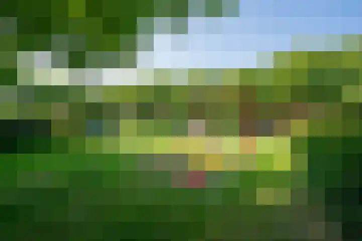Zonnehof 41 Heerhugowaard thumbnail 38