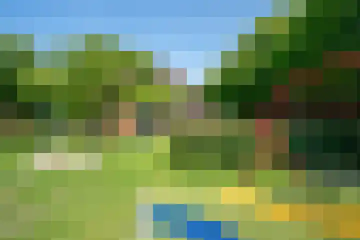 Zonnehof 41 Heerhugowaard thumbnail 39
