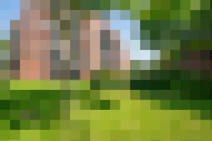 Zonnehof 41 Heerhugowaard thumbnail 40