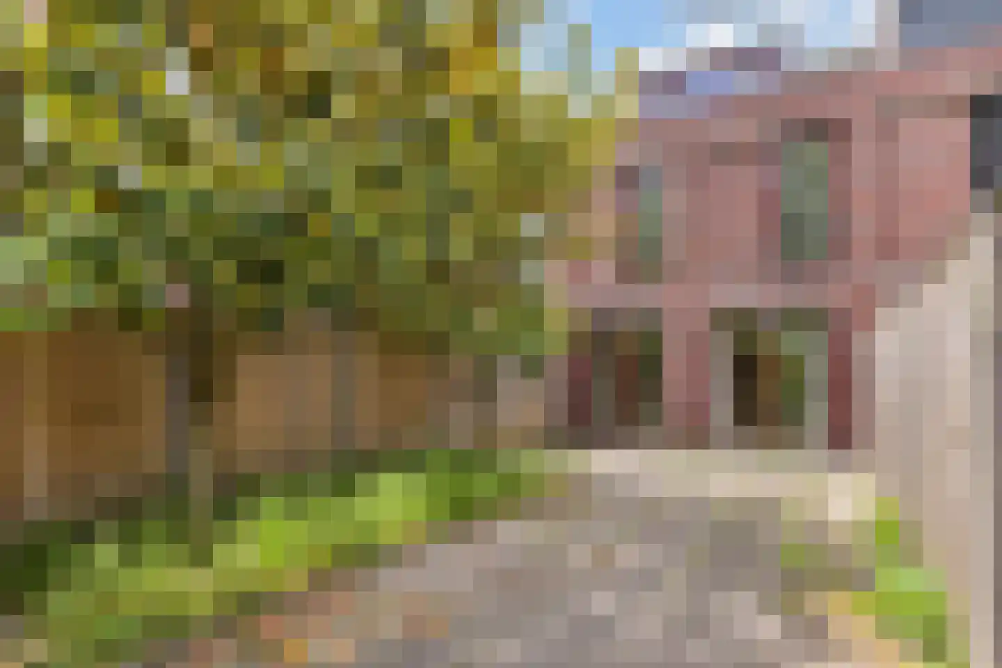 Zonnehof 43 Nootdorp