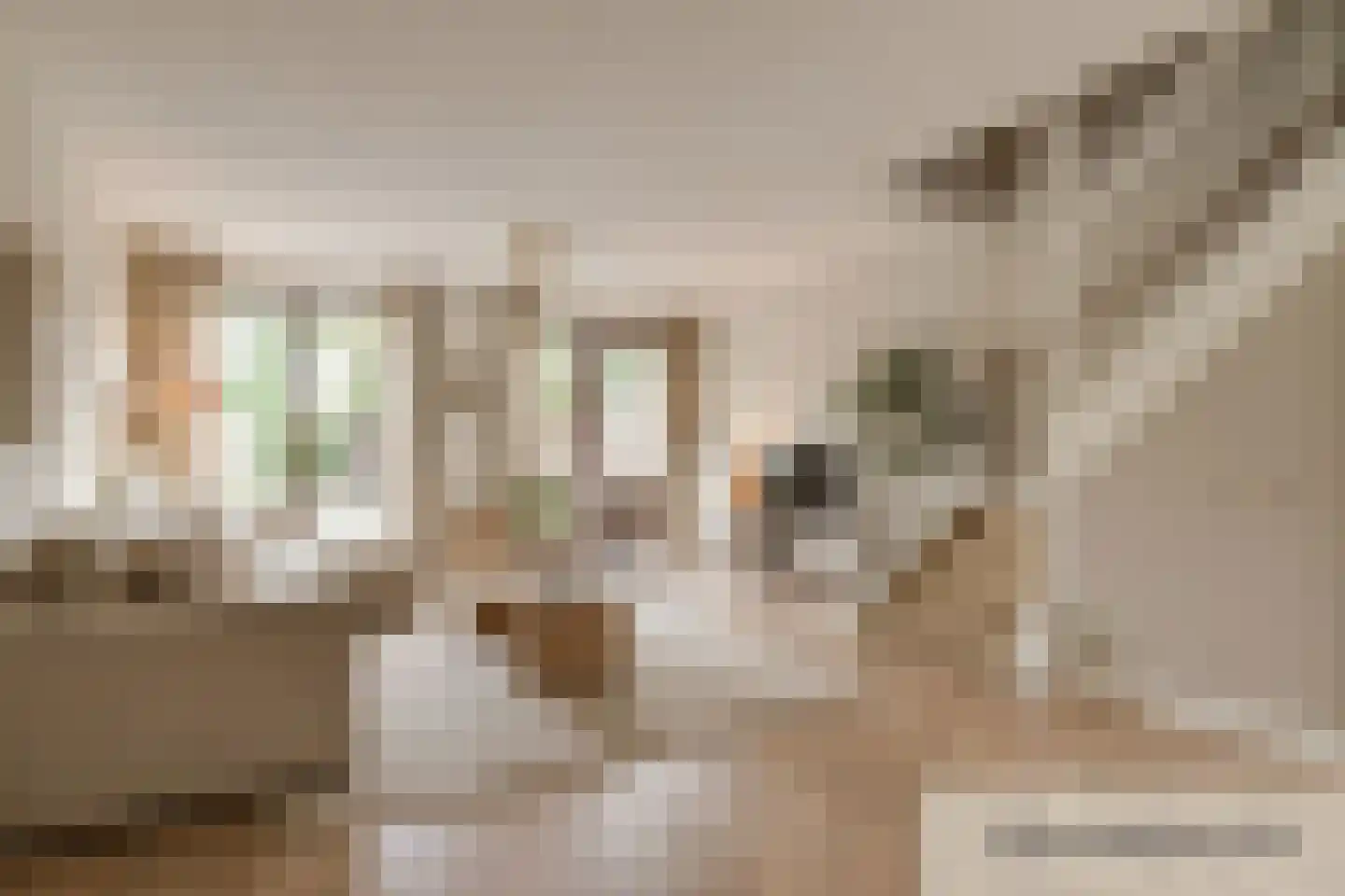 Zonnehof 43 Nootdorp thumbnail 11