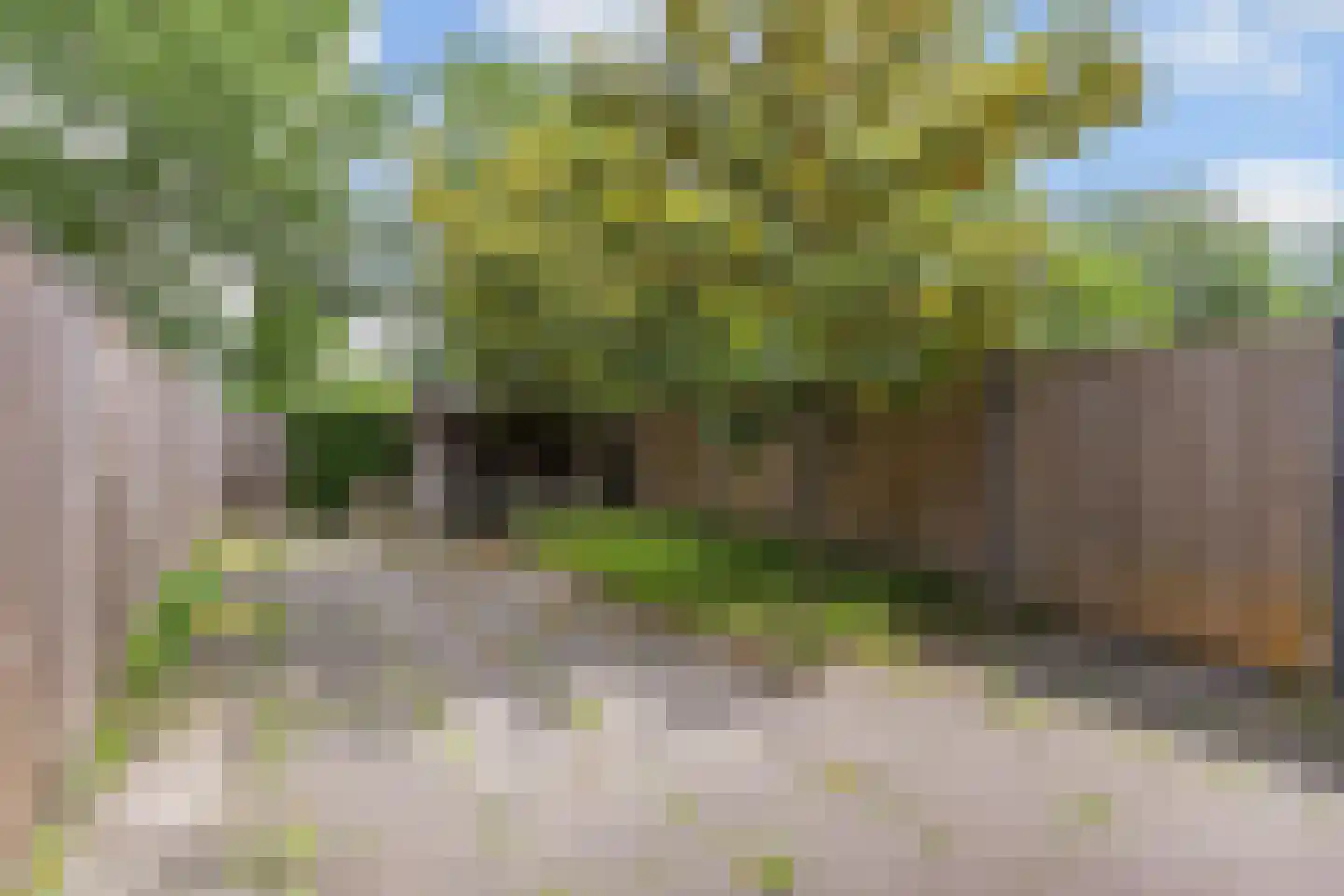 Zonnehof 43 Nootdorp thumbnail 13