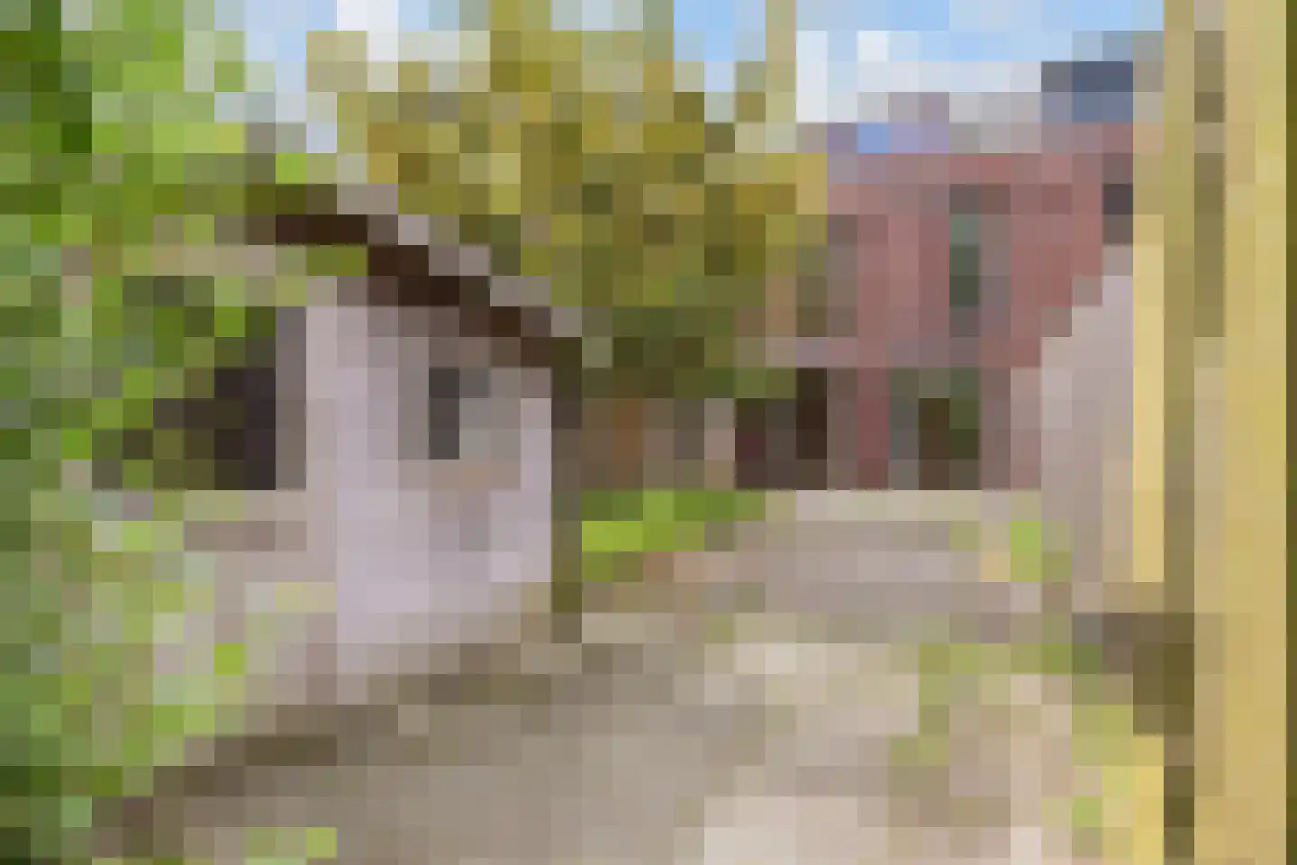 Zonnehof 43 Nootdorp thumbnail 14