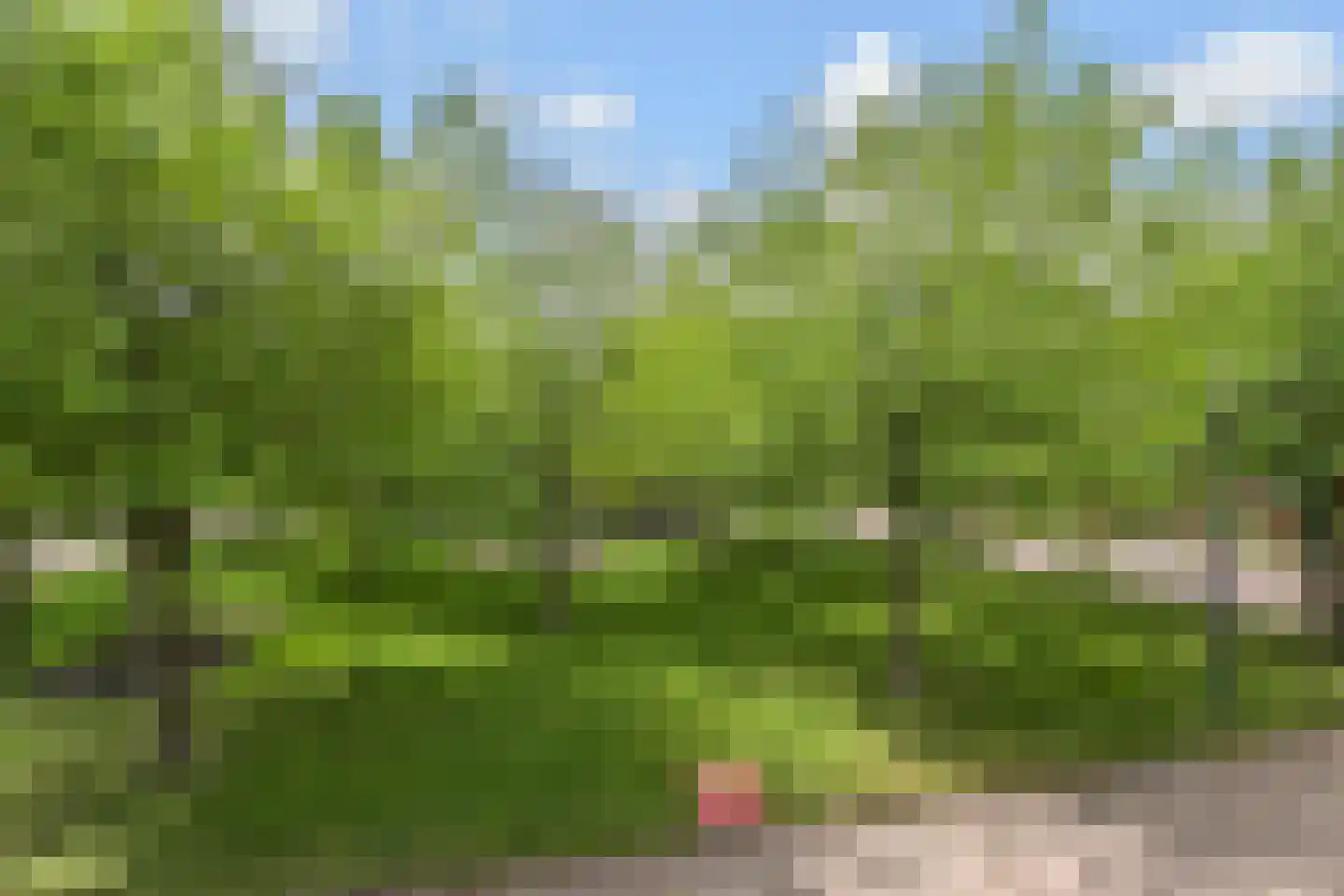 Zonnehof 43 Nootdorp thumbnail 21
