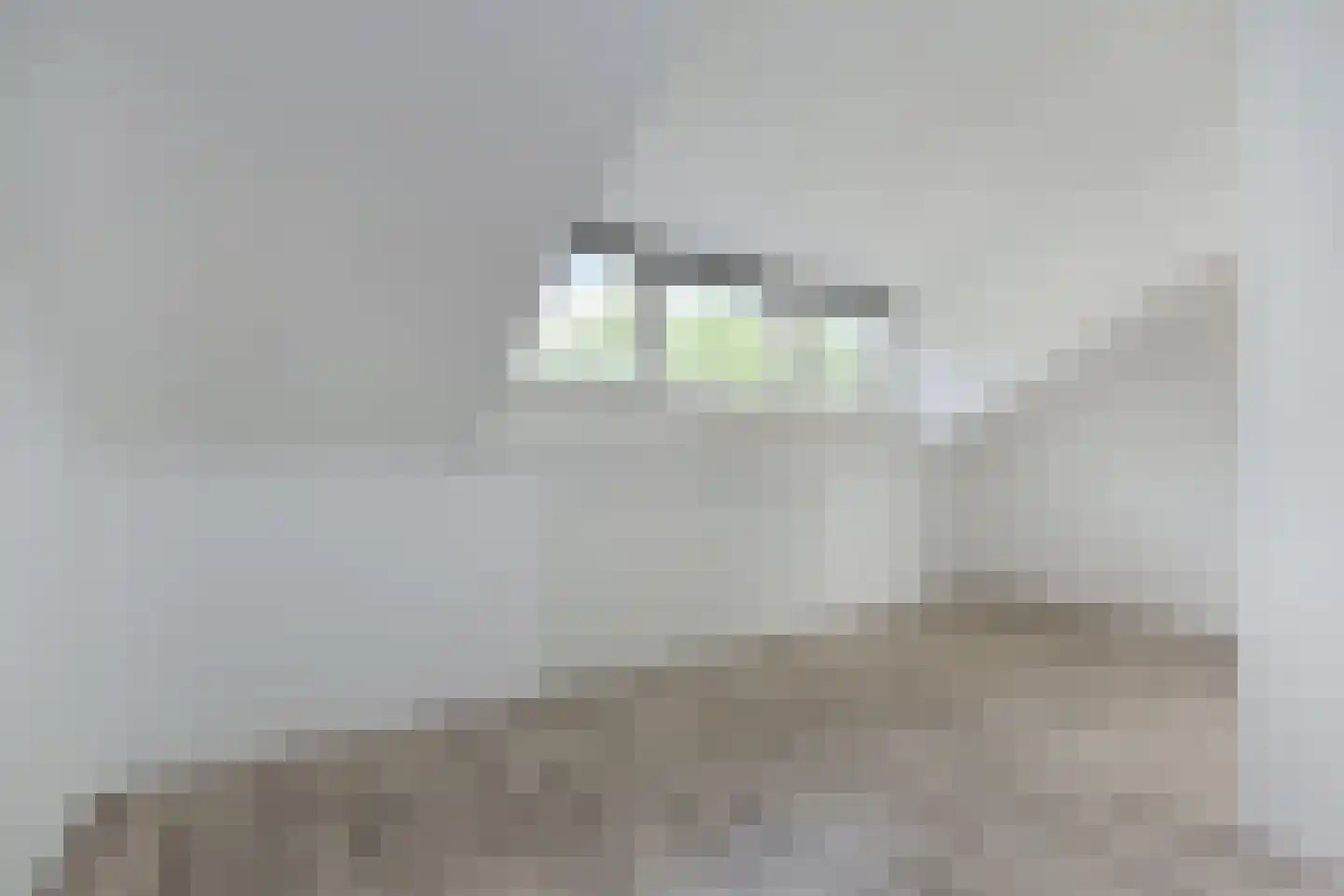 Zonnehof 43 Nootdorp thumbnail 30