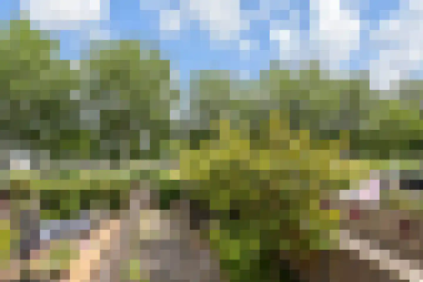 Zonnehof 43 Nootdorp thumbnail 35
