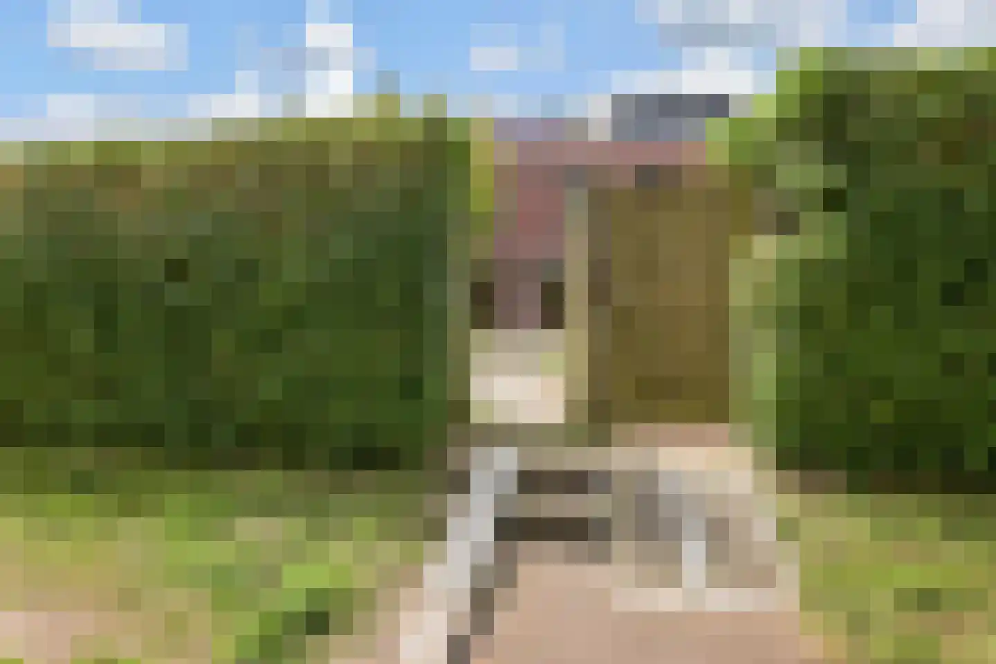 Zonnehof 43 Nootdorp thumbnail 36