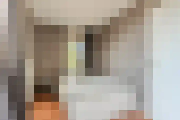 Zonnehof 47 Berkel en Rodenrijs thumbnail 20