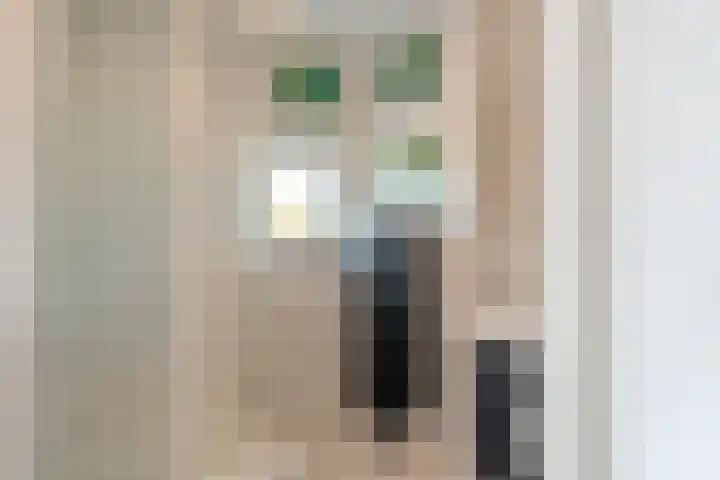 Zonnehof 47 Berkel en Rodenrijs thumbnail 25