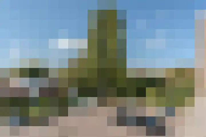 Zonnehof 47 Berkel en Rodenrijs thumbnail 35