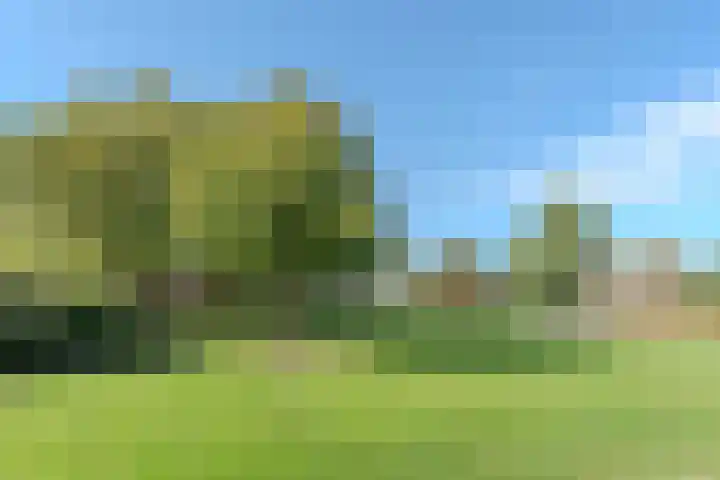 Zonnehof 47 Berkel en Rodenrijs thumbnail 37