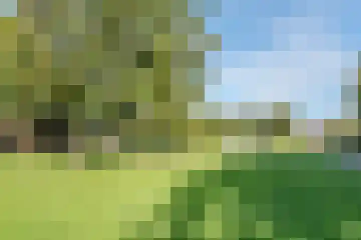 Zonnehof 47 Berkel en Rodenrijs thumbnail 38