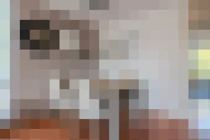 Zonnehof 47 Berkel en Rodenrijs thumbnail 6