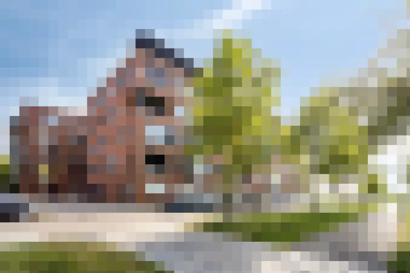 Zonnehof 48 Heerhugowaard thumbnail 5