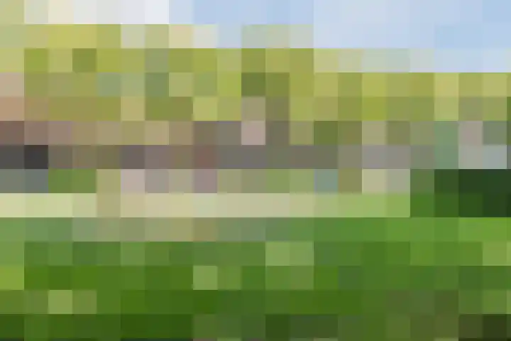 Zonnehof 50 Heerhugowaard thumbnail 30
