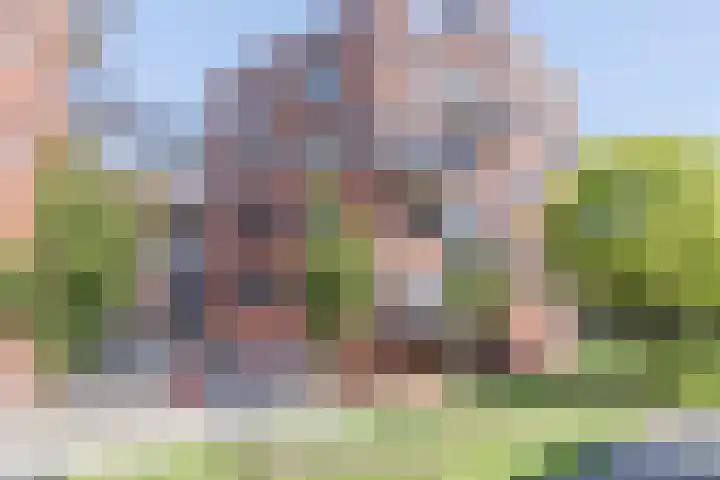 Zonnehof 50 Heerhugowaard thumbnail 34