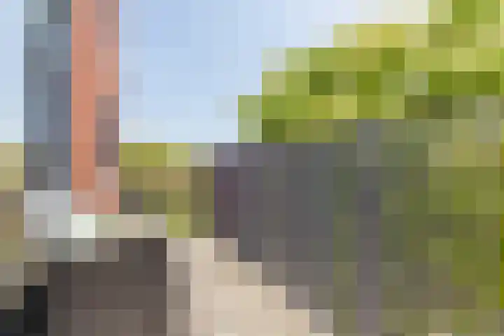 Zonnehof 50 Heerhugowaard thumbnail 4