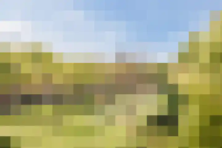 Zonnehof 50 Heerhugowaard thumbnail 5