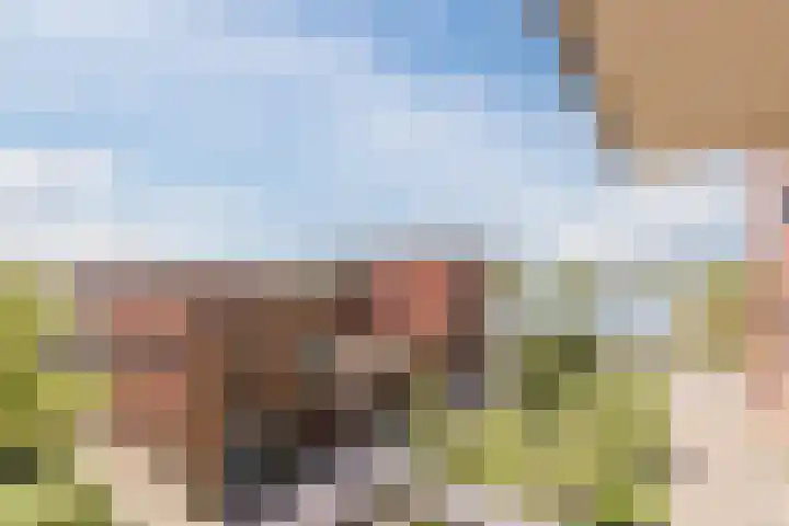 Zonnehof 50 Heerhugowaard thumbnail 6