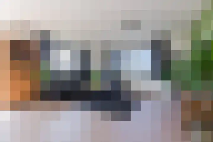 Zonnehof 50 Heerhugowaard thumbnail 8
