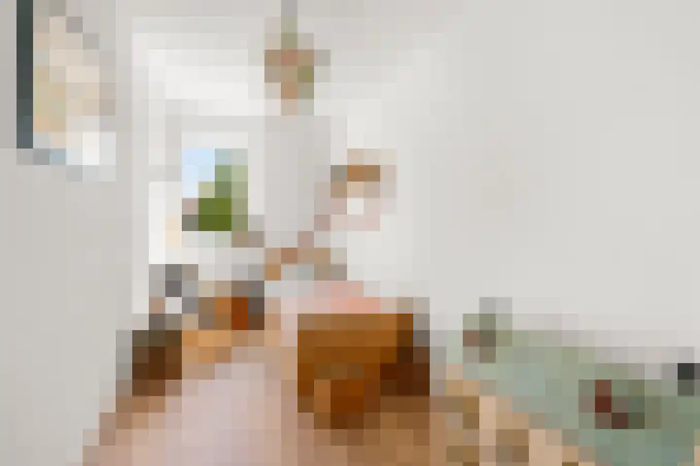 Zonnehof 52 Amsterdam thumbnail 27