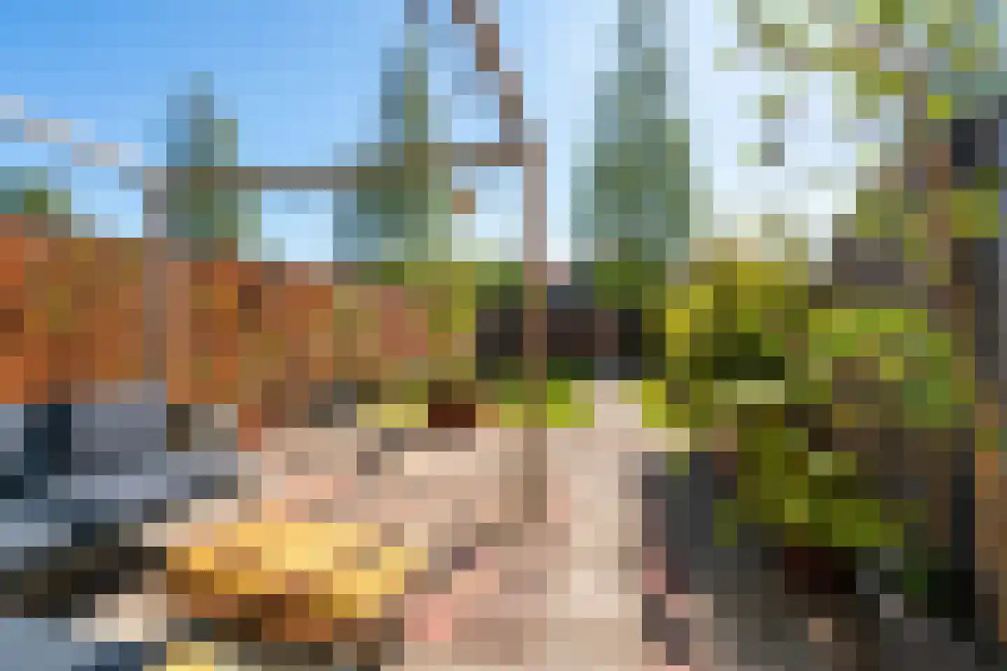 Zonnehof 52 Amsterdam thumbnail 37