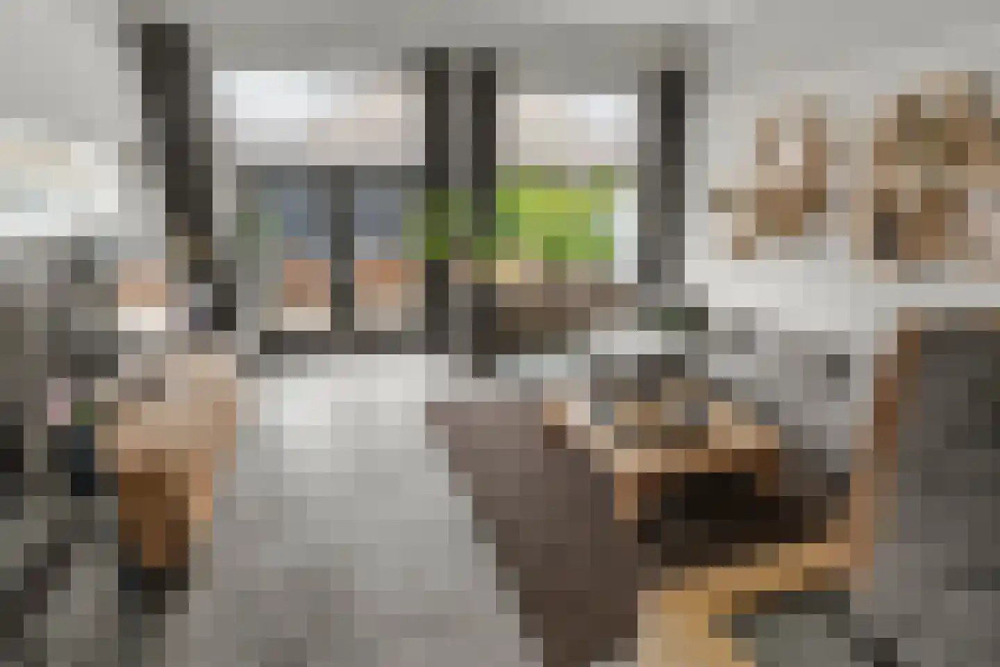 Zonnehof 54 Waddinxveen thumbnail 19