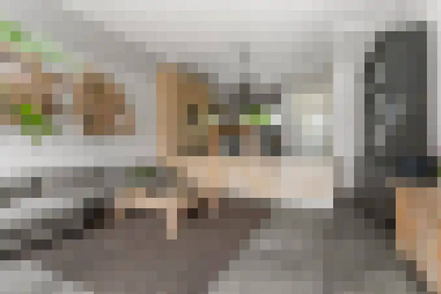 Zonnehof 54 Waddinxveen thumbnail 20