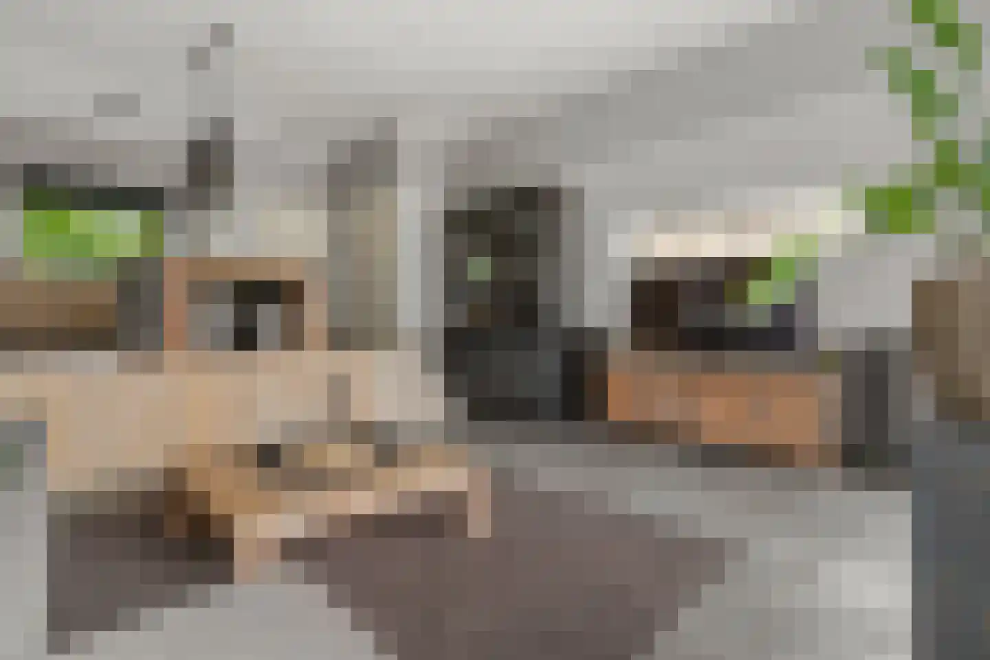 Zonnehof 54 Waddinxveen thumbnail 22